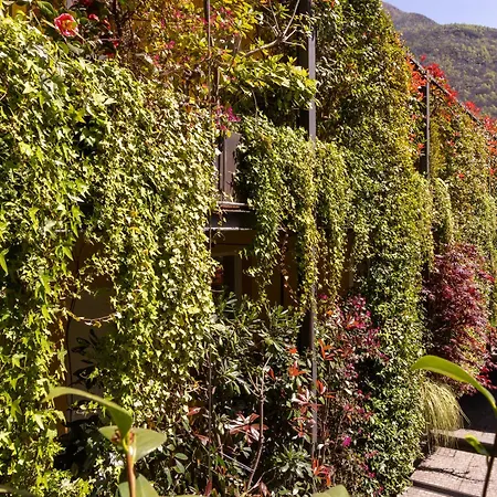 Casa Coppa Jasmine *