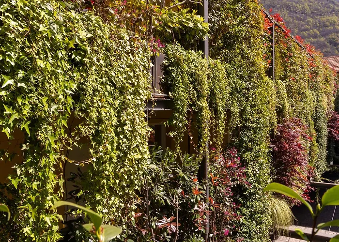 Casa Coppa Jasmine *